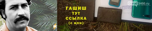 прущие грибы Елизово