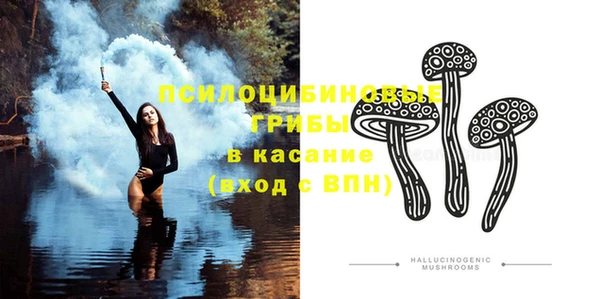 mdpv Ельня